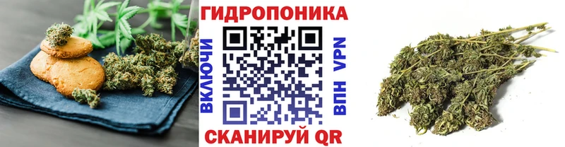 Cannafood конопля  Купить закладки  Куровское 