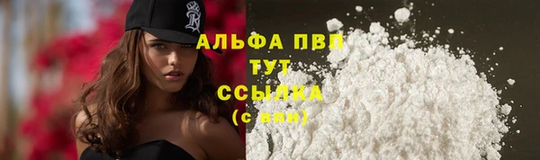 амф Кукмор