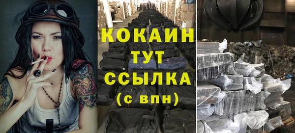 амф Кукмор