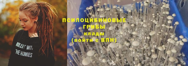 мяу мяу мука Куйбышев